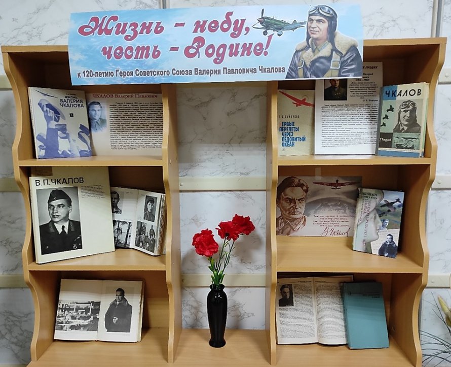 «Жизнь – небу, честь – Родине!»